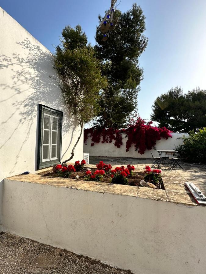 Gasthaus Two Olive Trees Spétses Exterior foto